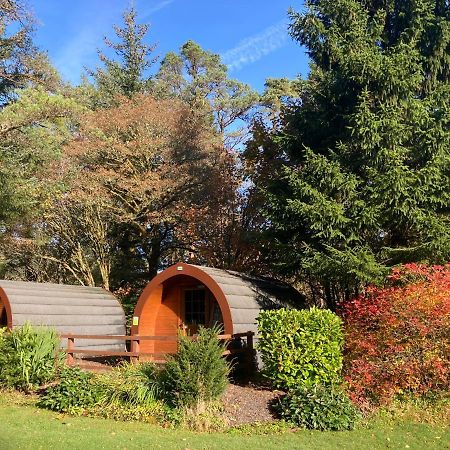 Glamping Hut - By The Way Campsite Tyndrum Exteriör bild