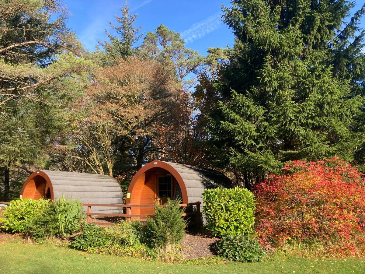 Glamping Hut - By The Way Campsite Tyndrum Exteriör bild